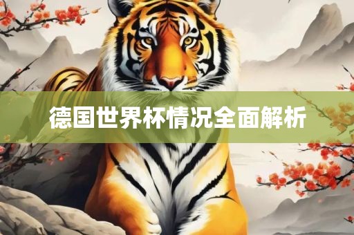 德国世界杯情况全面解析眉山市正发家政服务有限公司