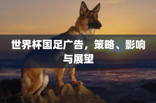 世界杯国足广告，策略、影响与展望