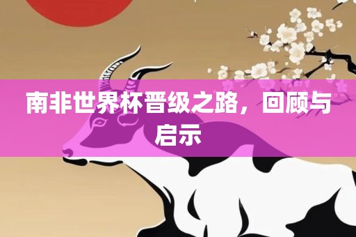 南非世界杯晋级之路，回顾与启示眉山市正发家政服务有限公司