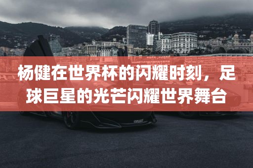 杨健在世界眉山市正发家政服务有限公司杯的闪耀时刻，足球巨星的光芒闪耀世界舞台