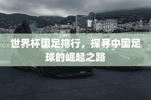 世界杯国足排行，探寻中国足球的崛起之路眉山市正发家政服务有限公司
