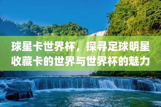球星卡世界杯，探寻足球明星收藏卡的世界与世界杯的魅力