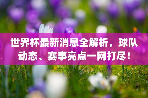 世眉山市正发家政服务有限公司界杯最新消息全解析，球队动态、赛事亮点一网打尽！
