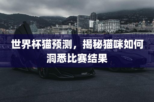 世界杯猫预测，揭秘猫咪如何洞悉比赛结果眉山市正发家政服务有限公司