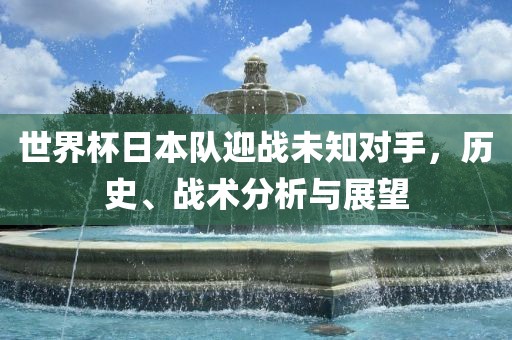 世界杯日本队迎战未知对手，历史、战术分析与展望