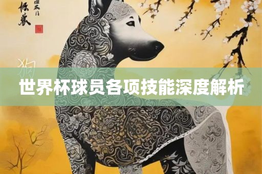 世界杯球员各项技能深度解析