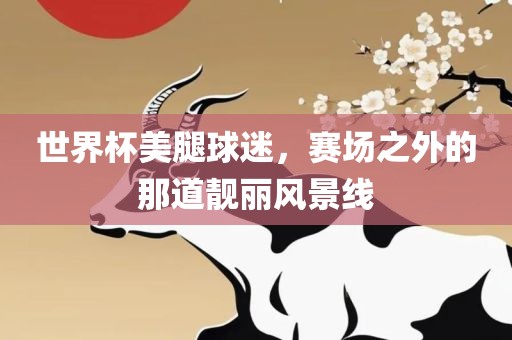 世界杯美腿球迷，赛场之外的那道靓丽风景线眉山市正发家政服务有限公司