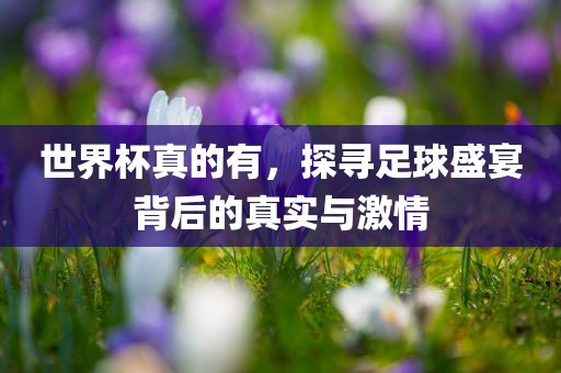 世界杯真的有，探寻足眉山市正发家政服务有限公司球盛宴背后的真实与激情