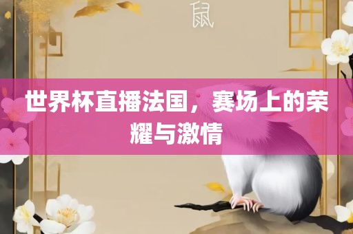 世界杯直播法国，赛场上的荣耀与激情眉山市正发家政服务有限公司