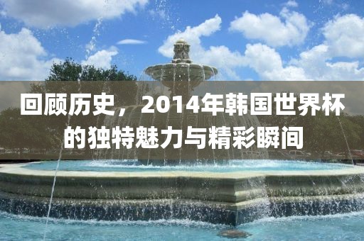 回顾历史，2014年韩国世界杯的独特魅力与精彩瞬间眉山市正发家政服务有限公司
