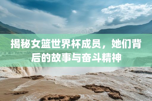 揭秘女篮世界杯成员，她们背后的故事与奋斗精神眉山市正发家政服务有限公司