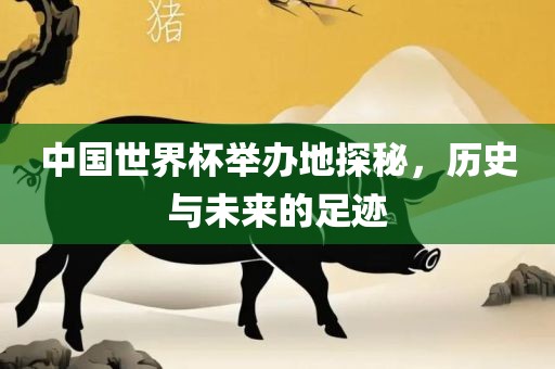 中国世界杯举办地探秘，历史与未来的足迹眉山市正发家政服务有限公司