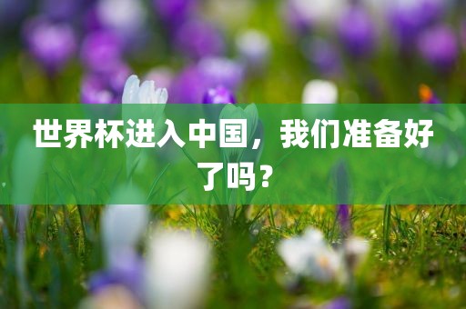 世界杯进入中国，我们准备好了吗？眉山市正发家政服务有限公司