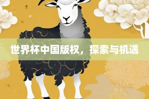 世界杯中国版权，探索与机遇眉山市正发家政服务有限公司
