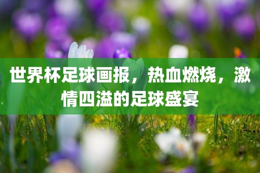 世界杯足球画报，热血燃烧，激情四溢的足球盛宴眉山市正发家政服务有限公司