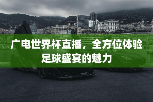 广电世界杯直播，全方位体验足球盛宴的魅力眉山市正发家政服务有限公司