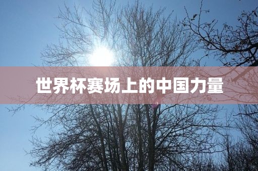世界杯赛场上的中国力量眉山市正发家政服务有限公司
