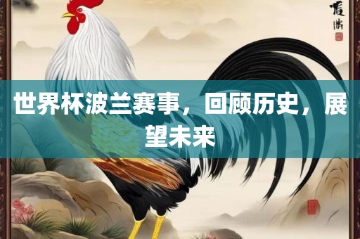 世界杯波兰赛事，回顾历史，展望未来