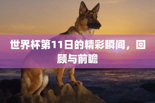 世界杯第11日的精彩瞬间，回顾与前瞻