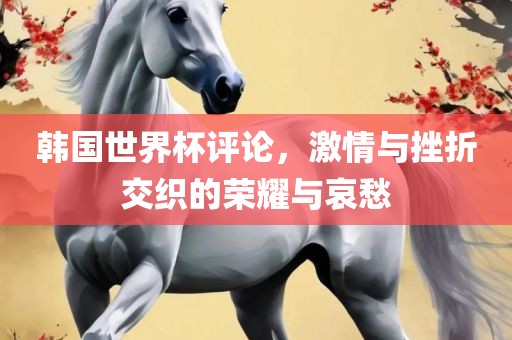 韩国世界杯评论，激眉山市正发家政服务有限公司情与挫折交织的荣耀与哀愁