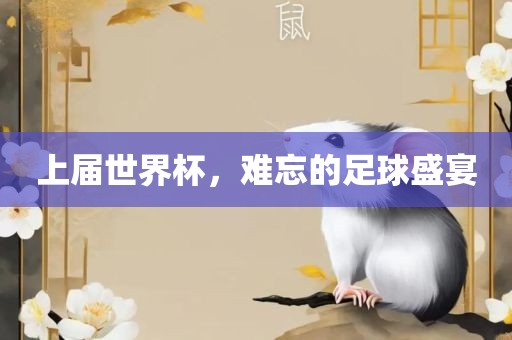 上届世界杯，难忘的足球盛宴眉山市正发家政服务有限公司