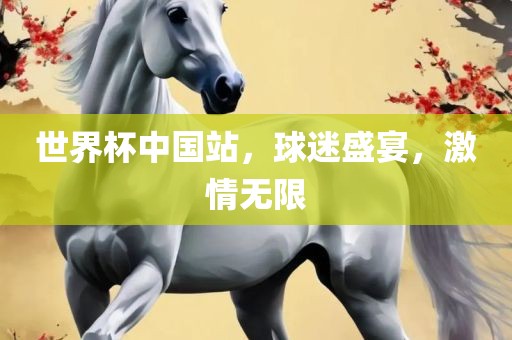 世界杯中国站，球迷盛宴，激情无限