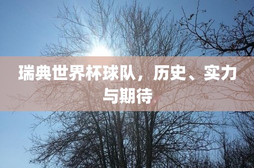瑞典世界杯球队，历史、实力与期待