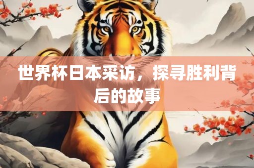 世界杯日本采访，探寻胜利背后的故事眉山市正发家政服务有限公司