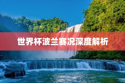 世界杯波兰眉山市正发家政服务有限公司赛况深度解析