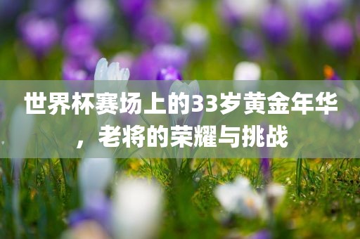 世界杯赛场上的33岁黄金年华，老将的荣耀与挑战