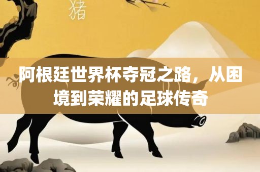 阿根廷世界杯夺冠之路，从困境到荣耀的足球传奇眉山市正发家政服务有限公司