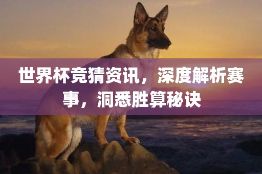 世界杯竞猜资讯，深度解析赛事，洞悉胜算秘诀眉山市正发家政服务有限公司