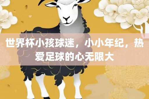 世界杯小孩球迷，小小年纪，热爱足球的心无限大眉山市正发家政服务有限公司