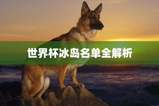 世界杯冰岛名单全解析眉山市正发家政服务有限公司