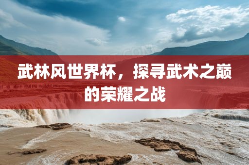 武林风世界杯，探寻武术之巅的荣耀之战