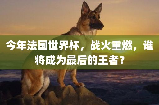 今年法国世界杯，战火重燃，谁将成为最后的王者？