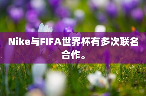 Nike与FIFA世界杯有多次联名合作。眉山市正发家政服务有限公司