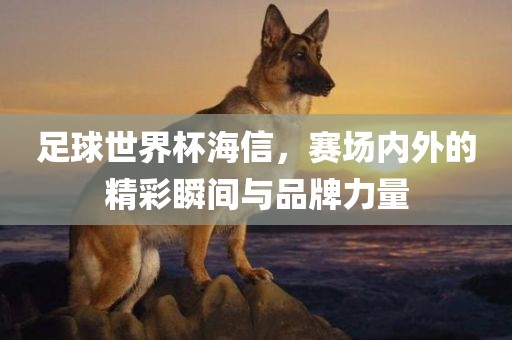 足球世界杯海信，赛场内外的精彩瞬间与品牌力量眉山市正发家政服务有限公司