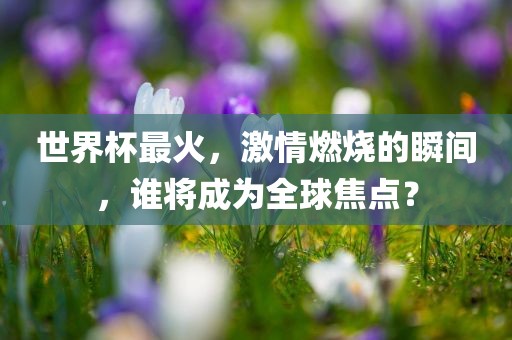 世界杯最火，激情燃烧的瞬间，谁将成为全球焦点？眉山市正发家政服务有限公司