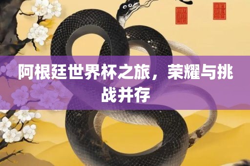 阿根廷世界杯之旅，荣耀与挑战并存