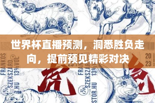 世界杯直播预测，洞悉胜负走向，提前预见精彩对决眉山市正发家政服务有限公司