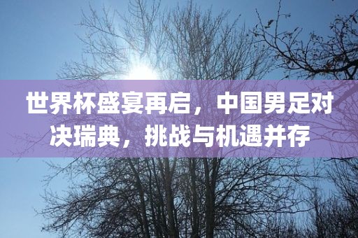 世界杯盛宴再启，中国男足对决瑞典，挑战与机遇并存眉山市正发家政服务有限公司
