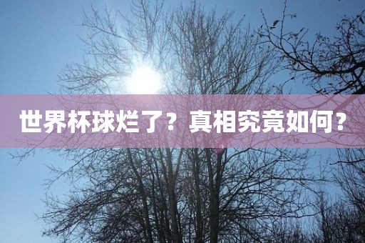 世界杯球烂了？真相究竟如何？眉山市正发家政服务有限公司