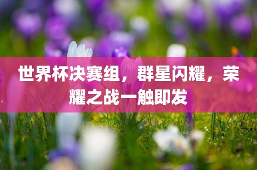 世界杯决赛组，群星闪耀，荣耀之战一触即发