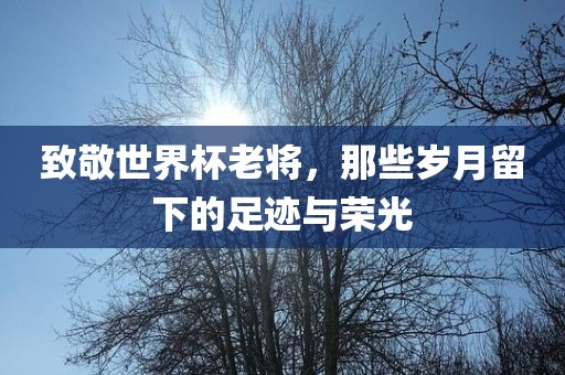 致敬世界杯老将，那些岁月留下的足迹与荣光眉山市正发家政服务有限公司