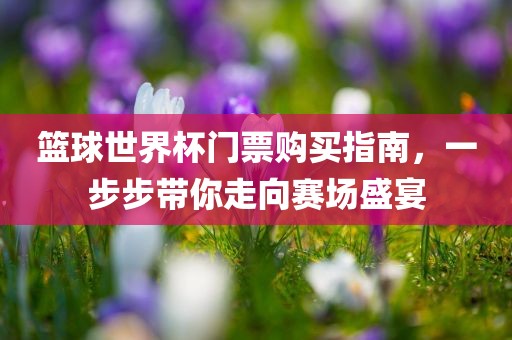 篮球世界杯门票购买指南，一步步带你走向赛场盛宴眉山市正发家政服务有限公司
