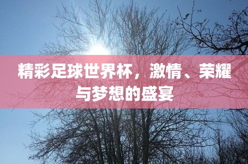 精彩足球世界杯，激情、荣耀与梦想的盛宴