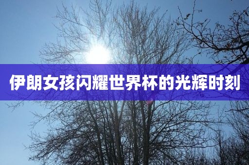 伊朗女孩闪耀世界杯的光辉时刻眉山市正发家政服务有限公司