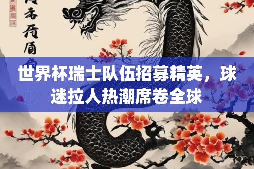 世界杯瑞士队伍招募精英，球迷拉人热潮席卷全球眉山市正发家政服务有限公司