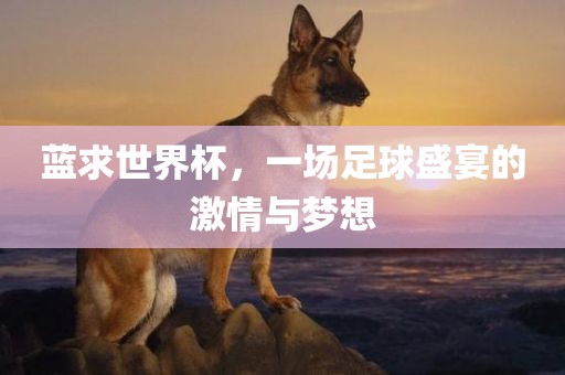 蓝求世界杯，一场足球盛宴的激情与梦想
